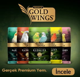 gwp4.jpg (67 KB)