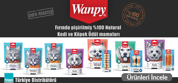 wanpy-banner.jpg (118 KB)