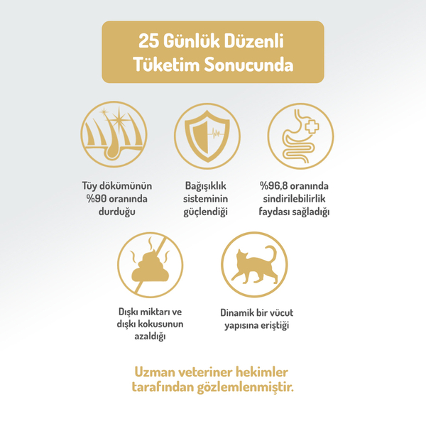 Felicia 12 Kg Kolajenli Kuzulu Az Tahıllı Yetişkin Kedi Maması HypoAllergenic Kedi Maması