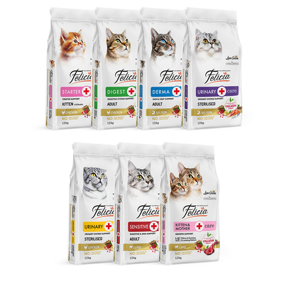 Felicia - Felicia 12 Kg Kolajenli Lansman Seti 7 Adet - AĞUSTOS