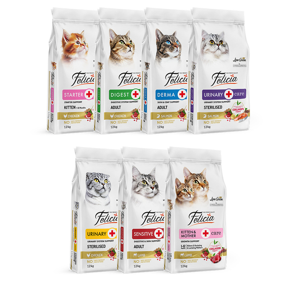 Felicia 12 Kg Kolajenli Lansman Seti 7 Adet - AĞUSTOS