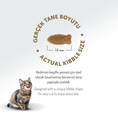 Felicia 12 Kg Kolajenli Somonlu Az Tahıllı Yetişkin Kedi Maması HypoAllergenic Kedi Maması - Thumbnail