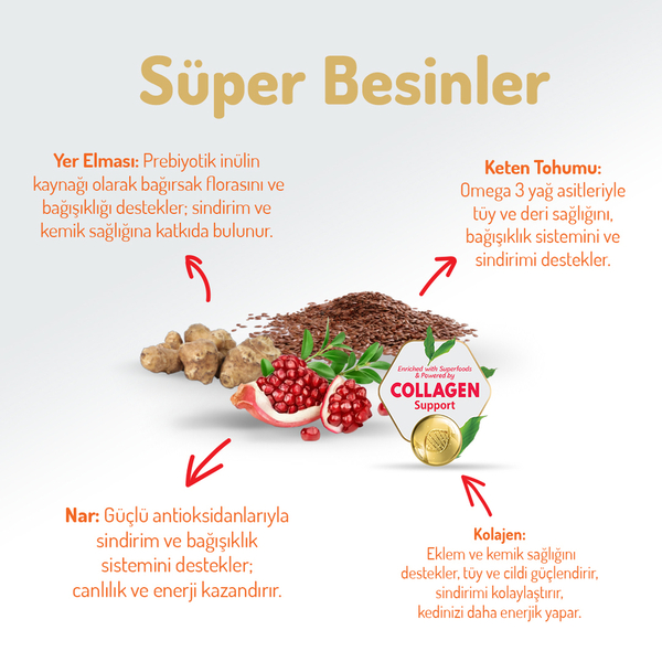 Felicia 12 Kg Kolajenli Tavuklu Az Tahıllı Yavru Kedi Maması HypoAllergenic Kedi Maması