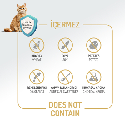 Felicia 12 Kg Kolajenli Tavuklu Az Tahıllı Yavru Kedi Maması HypoAllergenic Kedi Maması - Thumbnail