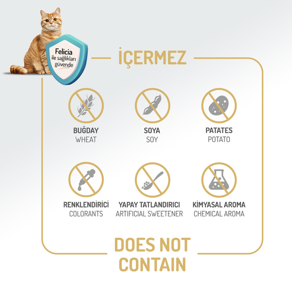 Felicia 12 Kg Tavuklu Az Tahıllı Yetişkin Kedi Maması HypoAllergenic Kedi Maması