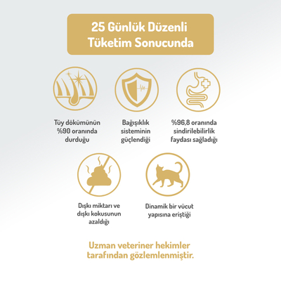 Felicia 12 Kg Kolajenli Tavuklu Az Tahıllı Yetişkin Kedi Maması HypoAllergenic Kedi Maması - Thumbnail