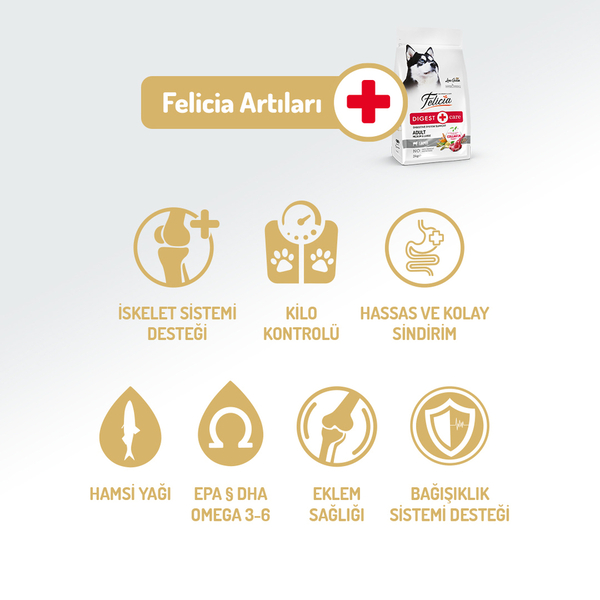 Felicia 15 Kg Kolajenli Kuzulu Az Tahıllı M/Large Yetişkin Köpek Maması Breed HypoAllergenic Köpek Maması