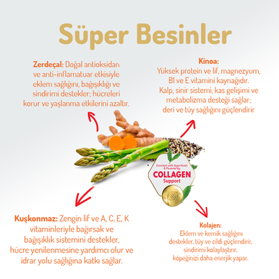 Felicia 15 Kg Kolajenli Kuzulu Az Tahıllı M/Large Yetişkin Köpek Maması Breed HypoAllergenic Köpek Maması - Thumbnail