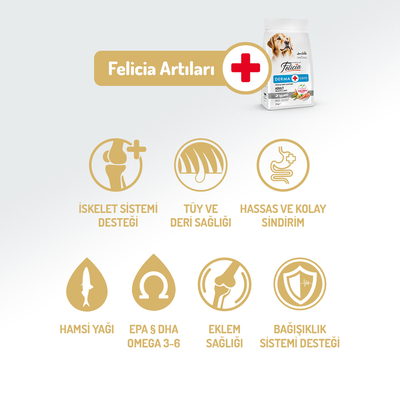 Felicia 15 Kg Kolajenli Somonlu Az Tahıllı M/Large Yetişkin Köpek Maması Breed HypoAllergenic Köpek Maması - Thumbnail