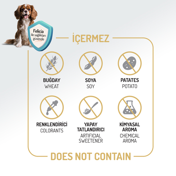 Felicia 15 Kg Kolajenli Somonlu Az Tahıllı M/Large Yetişkin Köpek Maması Breed HypoAllergenic Köpek Maması