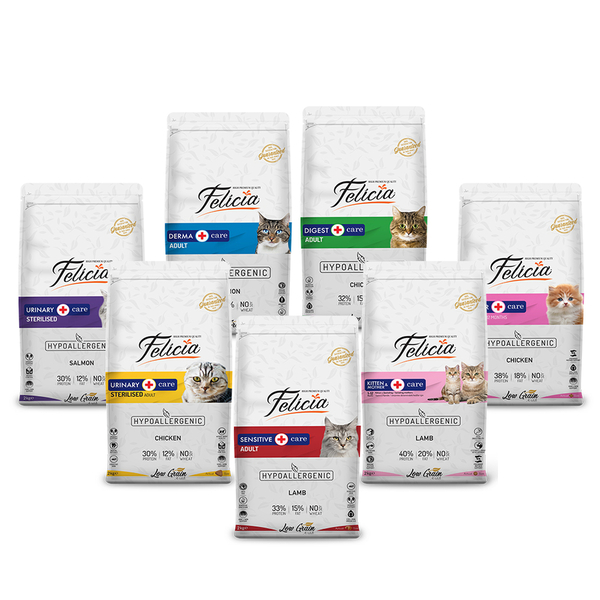 Felicia 2 Kg Kedi Maması Seti - Eylül