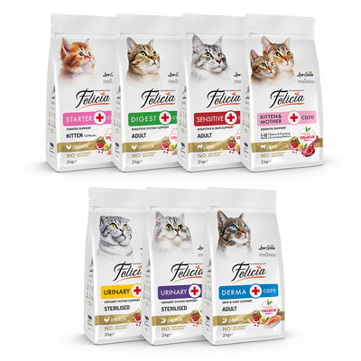 Felicia - Felicia 2 Kg Kolajenli Lansman Seti 14 Adet - AĞUSTOS