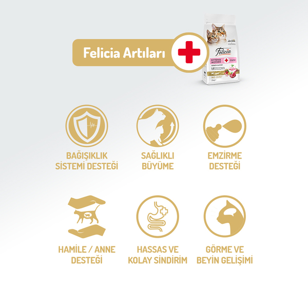 Felicia 2 Kg Kolajenli Kuzulu Az Tahıllı Yavru Kedi Maması HypoAllergenic Kedi Maması