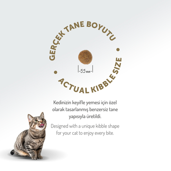 Felicia 2 Kg Kolajenli Kuzulu Az Tahıllı Yavru Kedi Maması HypoAllergenic Kedi Maması