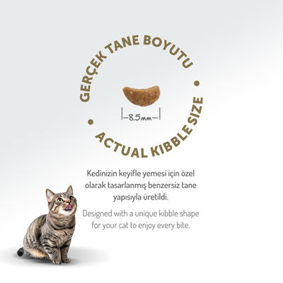 Felicia 2 Kg Kolajenli Kuzulu Az Tahıllı Yetişkin Kedi Maması HypoAllergenic Kedi Maması - Thumbnail