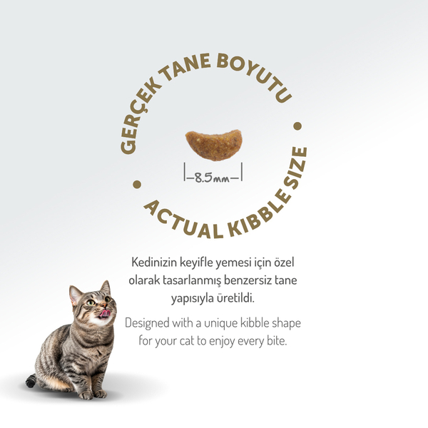 Felicia 2 Kg Kolajenli Kuzulu Az Tahıllı Yetişkin Kedi Maması HypoAllergenic Kedi Maması