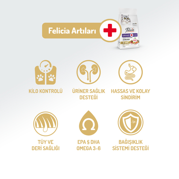Felicia 2 Kg Kolajenli Somonlu Az Tahıllı Kısırlaştırılmış Kedi Maması HypoAllergenic Kedi Maması