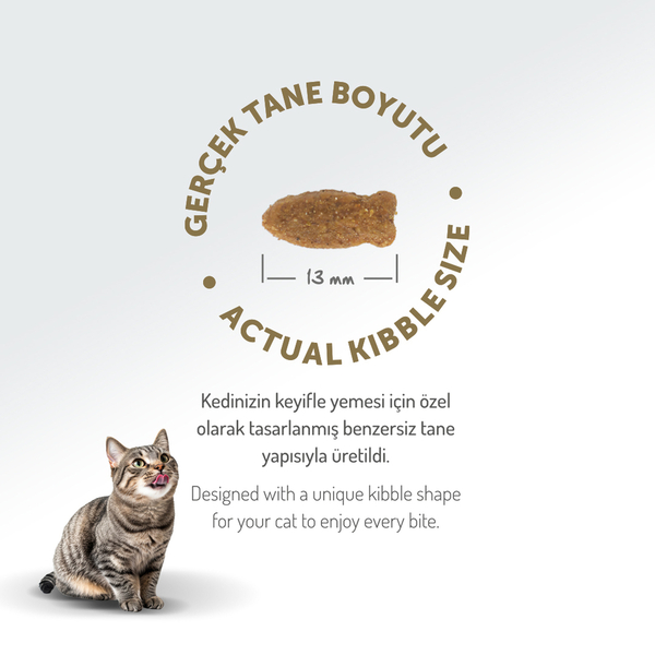 Felicia 2 Kg Somonlu Az Tahıllı Yetişkin Kedi Maması HypoAllergenic Kedi Maması