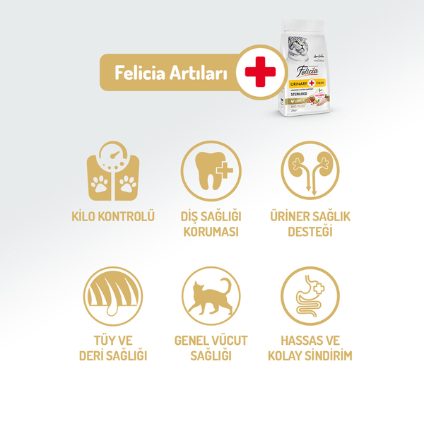 Felicia 2 Kg Kolajenli Tavuklu Az Tahıllı Kısırlaştırılmış Kedi Maması HypoAllergenic Kedi Maması