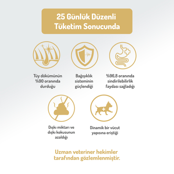 Felicia 3 Kg Kolajenli Kuzulu Az Tahıllı M/Large Yetişkin Köpek Maması Breed HypoAllergenic Köpek Maması