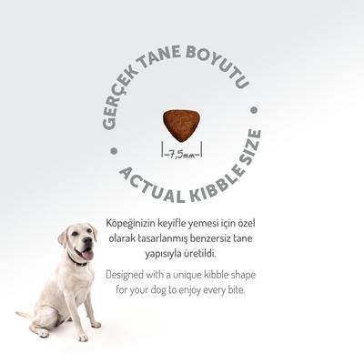 Felicia 3 Kg Kolajenli Kuzulu Az Tahıllı Flexi Size Yavru Köpek Maması HypoAllergenic Köpek Maması - Thumbnail