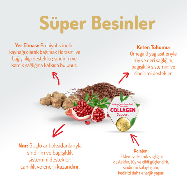 Felicia 5 Kg Kolajenli Somonlu Az Tahıllı Kısırlaştırılmış Kedi Maması HypoAllergenic Kedi Maması