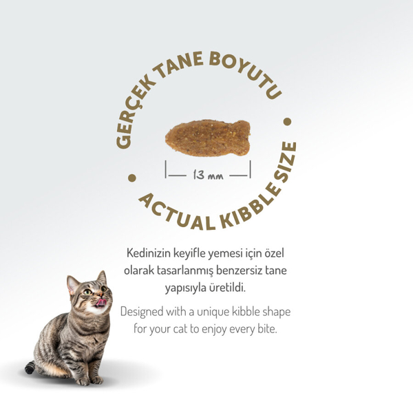 Felicia 5 Kg Kolajenli Somonlu Az Tahıllı Yetişkin Kedi Maması HypoAllergenic Kedi Maması