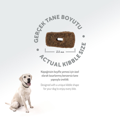 Felicia 6 Kg (2x3 Kg) Kolajenli Kuzulu Az Tahıllı M/Large Yetişkin Köpek Maması. Breed HypoAllergenic Köpek Maması - Thumbnail