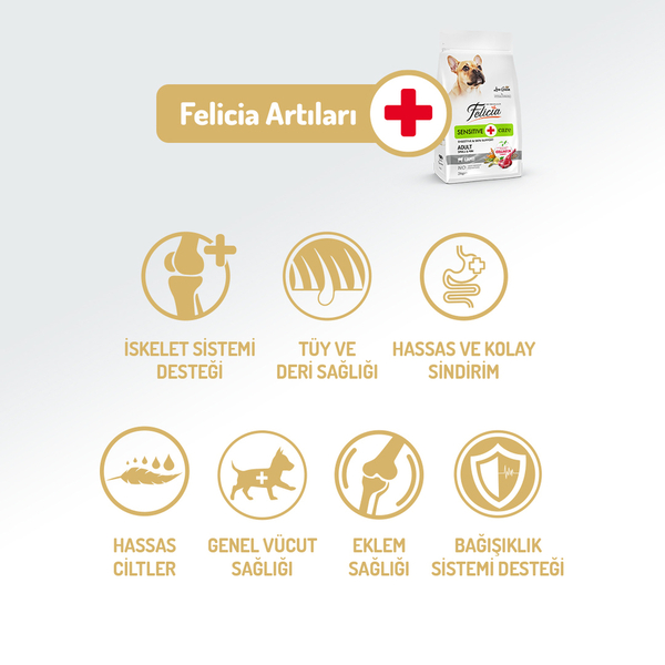 Felicia 6 Kg (2x3 Kg) Kolajenli Kuzulu Az Tahıllı Small/Mini Yetişkin Köpek Maması HypoAllergenic Köpek Maması