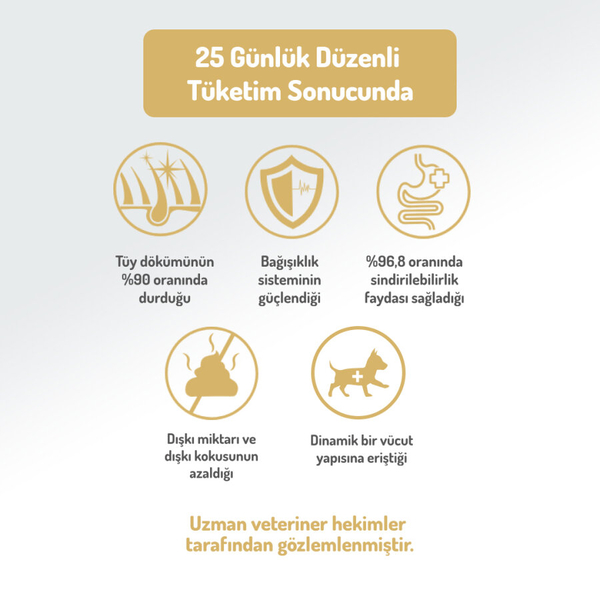 Felicia 6 Kg (2x3 Kg) Kolajenli Somonlu Az Tahıllı M/Large Yetişkin Köpek Maması. Breed HypoAllergenic Köpek Maması