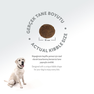 Felicia 6 Kg (2x3 Kg) Kolajenli Somonlu Az Tahıllı M/Large Yetişkin Köpek Maması. Breed HypoAllergenic Köpek Maması - Thumbnail