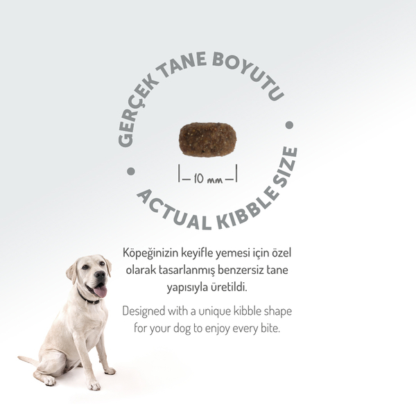Felicia 6 Kg Kuzulu Az Tahıllı Small/Mini Yetişkin Köpek Maması HypoAllergenic Köpek Maması