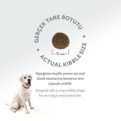 Felicia 6 Kg Somonlu Az Tahıllı Small/Mini Yetişkin Köpek Maması /Mini HypoAllergenic Köpek Maması - Thumbnail