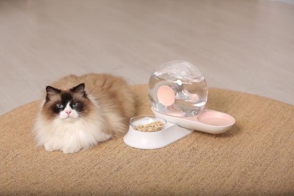 GA-WF-002 Kedi-Köpek Su ve Mama Kabı Basınçlı