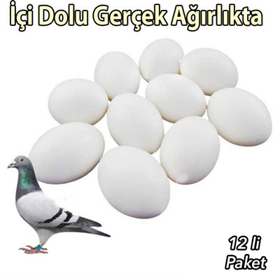Fit Fly - Güvercin Yumurtası 12'li (İçi Dolu)