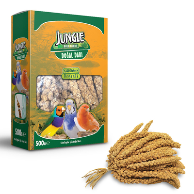Jungle - Jungle Doğal Dal Darı 500 g