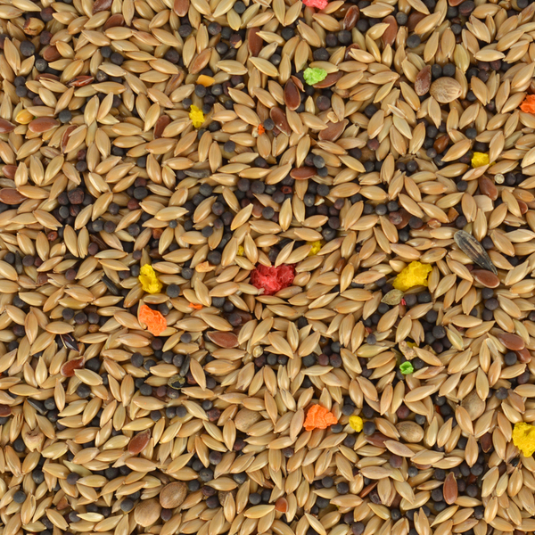 Jungle Kanarya Yemi 400 gr 8'li