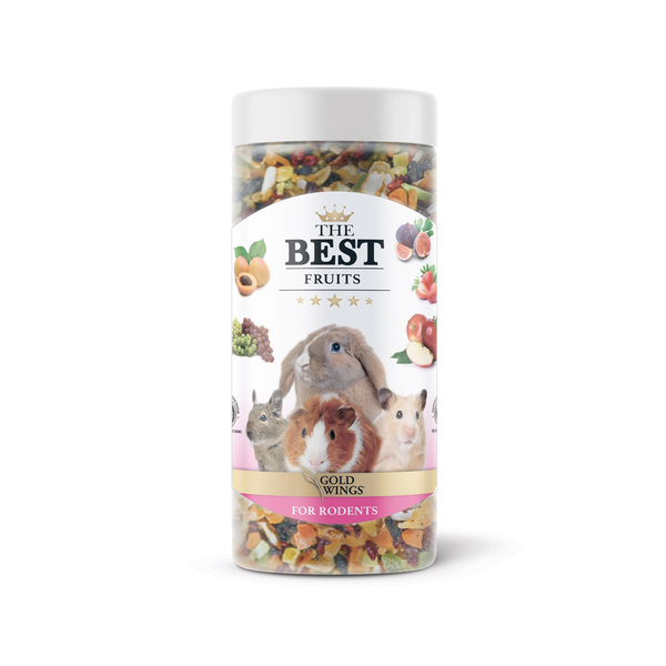 PASİF The Best Kemirgen Fruit Snack 150 gr 6 Adet