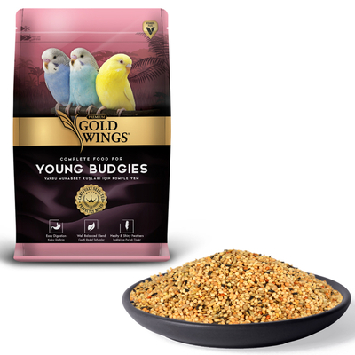 Gold Wings Premium - Premium Yavru Muhabbet 1 kg 6'lı