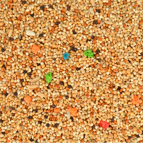 Q100 Lüx Muhabbet Yemi 20 kg