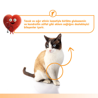 Wanpy Bone Support Sığır Eti&Tavuk 12'li-F.Krema Ödül 5x14gr - Thumbnail