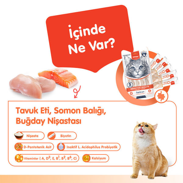 Wanpy Digestive Health Somon Balığı&Tavuk 12'li-F.Krema Ödül 5x14gr