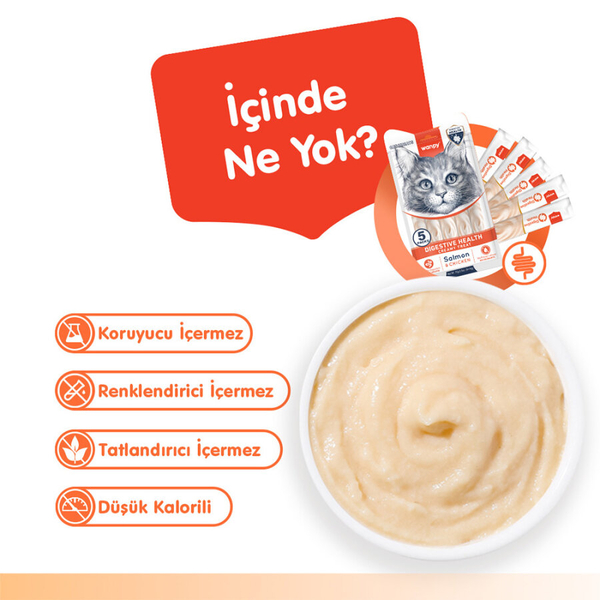 Wanpy Digestive Health Somon Balığı&Tavuk 12'li-F.Krema Ödül 5x14gr