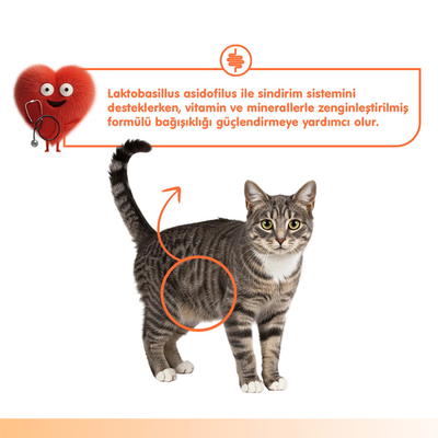 Wanpy Digestive Health Somon Balığı&Tavuk 12'li-F.Krema Ödül 5x14gr - Thumbnail