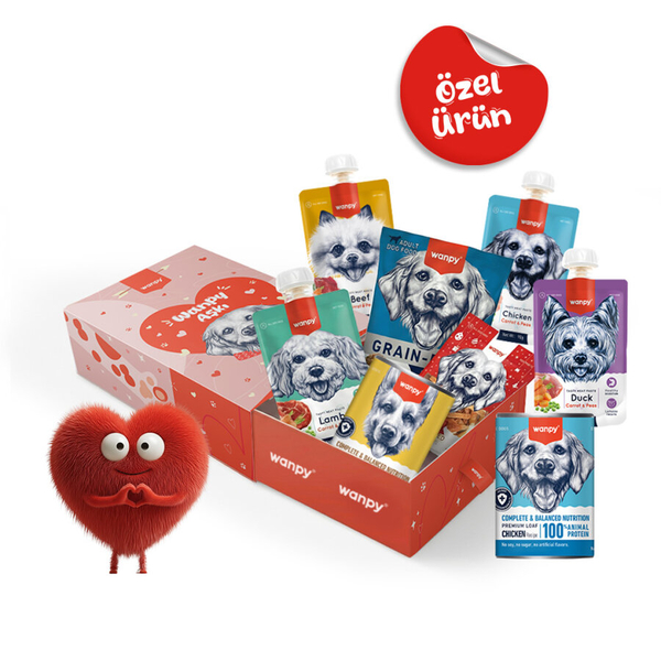 Wanpy Kalp Temalı Kutu Seti Köpek_6'lı Koli