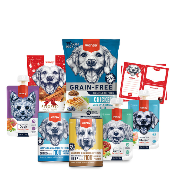 Wanpy Kalp Temalı Kutu Seti Köpek_6'lı Koli