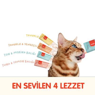 Wanpy Karışık 4 Lezzet 100'lü Krema Kedi Ödülü 100*14 gr - Thumbnail