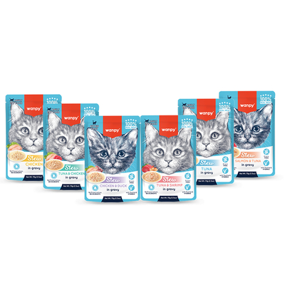 Wanpy - Wanpy Kedi Pouch Lansman Seti - TEMMUZ