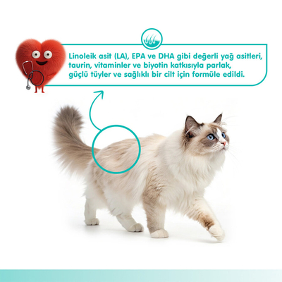 Wanpy Skin&Coat Ton Balığı&Somon 12'li-F.Krema Ödül 5x14gr - Thumbnail