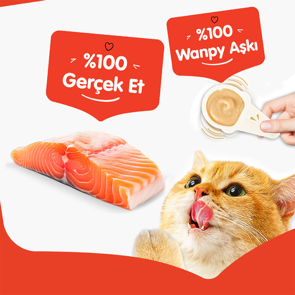 Wanpy Somonlu 10*16 gr Kaşıklı Kedi Ödül Kreması